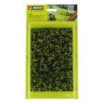 Boden Foliage Wiese gelb