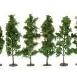 N/Z 5 Schwarzpappeln 5,5 cm