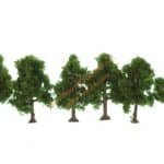 N/Z 6 Apfelbäume 4 cm