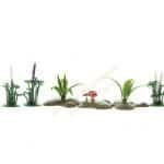 HO Wildlupinen, Farn