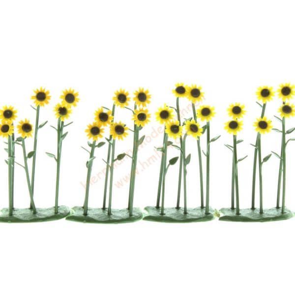 HO 24 Sonnenblumen