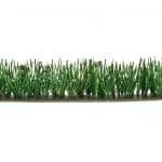 HO Gräser/Rohrkolben