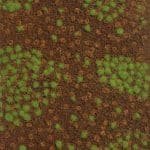 Sommerlicher Waldboden