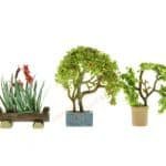 HO Zierpflanzen Blumentöpfen