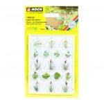 HO LC Wasser und Uferpflanzen