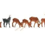 HO Rehe und Gemse