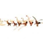 HO Hühner und Gänse