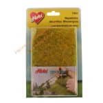 Decovlies-Wiesengras Rapsblüt