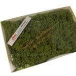 15 Büsche und Bäume hellgrün