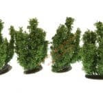 HO/TT 4 Büsche 5 cm