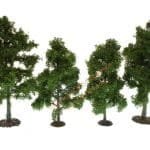 HO/TT 4 Obstbäume 9-11 cm