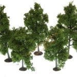 HO/TT 5 Obstbäume 5-8 cm
