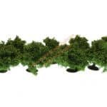 HO/TT 8 Büsche 4 cm