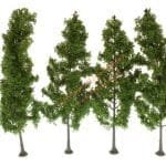 HO/TT 4 Pappeln zum Stecken