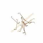 HO 10 Leichtbau-Seitenhalter