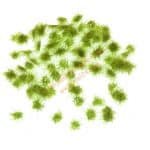 Grasbüschel dunkelgrün