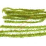 Grasstreifen Frühling