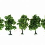 HO/TT 5 Obstbäume 7 cm