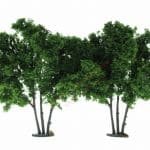 HO/TT 2 Hainbuchen 9 cm