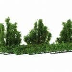 HO/TT 8 Büsche und Hecken
