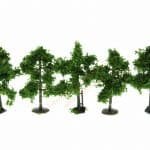 N/Z 5 Laubbäume 4 cm