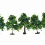 N/Z 5 Zwetschgenbäume 4 cm