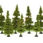 N/Z 9 Lärchen 5-7 cm