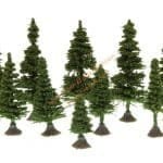 N/Z 10 Tannen 3-5 cm