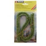 HO/TT/N  Hecke hellgrün