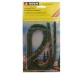 HO/TT/N  Hecke dunkelgrün