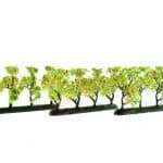 HO/TT Plantagenbäume Äpfeln