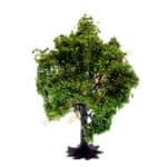 HO/TT Obstbaum grün 7,5 cm