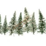 HO/TT 5 Schneetannen 9-12 cm