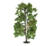 HO/TT Mehrstämmige Akazie