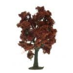 HO/TT Rotbuche 13 cm