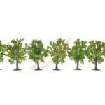 HO-Z 7 Obstbäue grün 8 cm