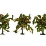HO/TT 3 Orangenbäume