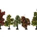 HO/TT 5 Stäucher blühend