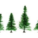 HO-Z Tannen 4 Stück 40-80 mm