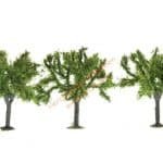N/Z 3 Obstbäume grün