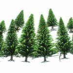 HO/TT 10 Modellfichten