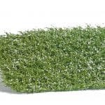 Sträuchermatte weiß blühend