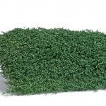 Sträuchermatte Sommer