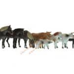 N Tiere auf dem Bauernhof