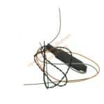 Pantographen-Blitzer