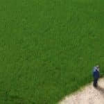 Grasfasern dunkelgrün 4,5 mm