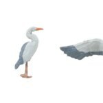 HO Wildvögel